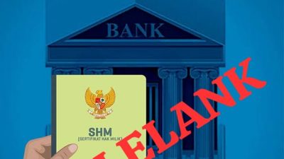 IMG-20250214-WA0134(1)