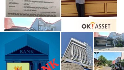 IMG-20250214-WA0139(1)