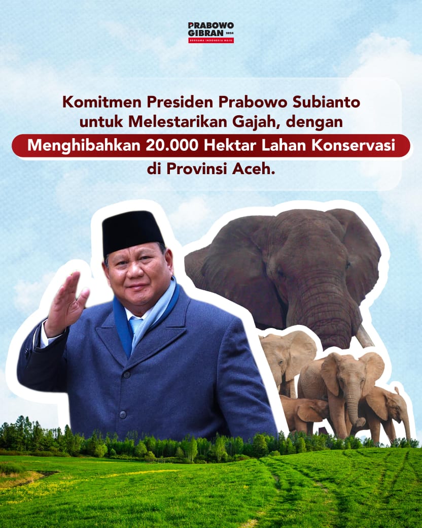 IMG-20241205-WA0017