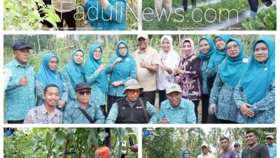 IMG-20250412-WA0017(1)