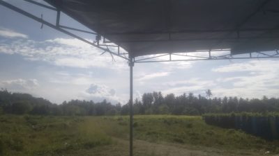 IMG-20250525-WA0014