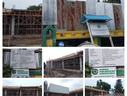 IMG_20250612_122432-COLLAGE