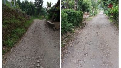 IMG_20250624_144628-COLLAGE